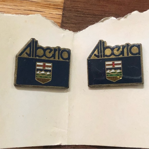 Vintage Alberta Pin Bundle.  Great selection of them - Picture 7 of 13